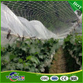Chinese manufacturers fruit tree planting protecting net/bird netting